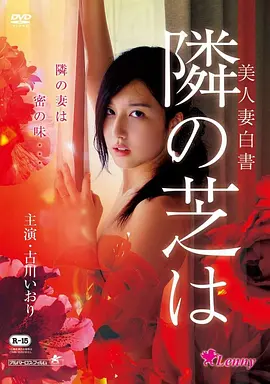 《雨季不再来》2K修复版电影海报